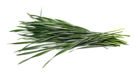 Fototapeta premium Green mowed young wheat isolated on white background, with clipping path