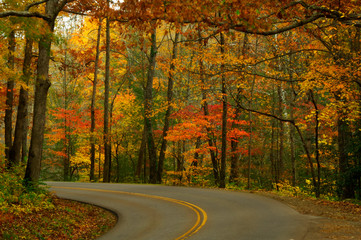 Lovely autumn in Great Smoky Mountains National Park