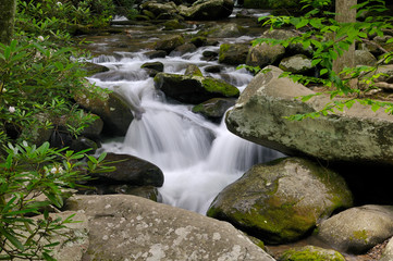Fototapeta na wymiar Little Pigeon River in Roaring Fork of Smoky Mountains, TN, USA