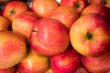 manzana royal gala