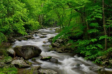 Naklejka na ściany i meble Little Pigeon River in Tremont of Great Smoky Mountains