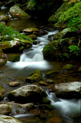Fototapeta na wymiar Tremont at Great Smoky Mountains National Park, TN USA