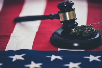 Vegetables, marijuana, indica, marijuana, hemp, CBD, marijuana leaves and judging mallets