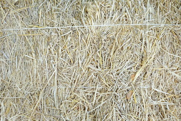 Straw Texture Background.