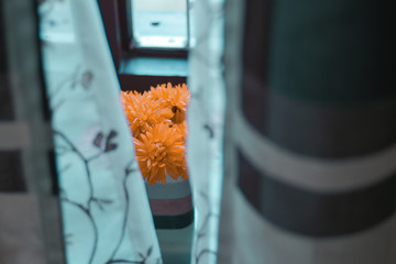 Picture of a flower vase in front of a window.