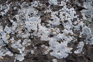 the plain of jars sit1, Phonsavan, province Xieng Khuang in north Lao in southeastasia. - Image