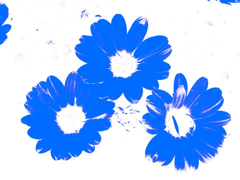 Flores en Bitono