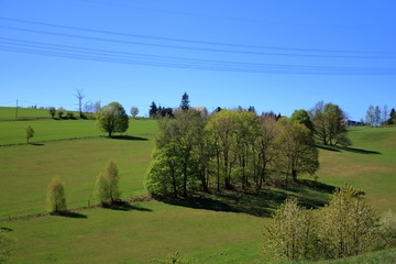 Scenic view of green trees and bushes against a blue sky