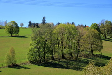 Fototapeta na wymiar Scenic view of green trees and bushes against a blue sky