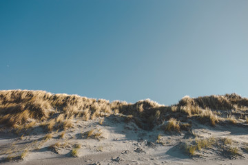 Sand dunes with grasses on them on a bright blue sunny day