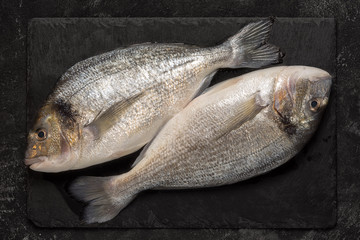 Two fresh dorado fish on black granite stone board on black table, diagonal composition. Top view.