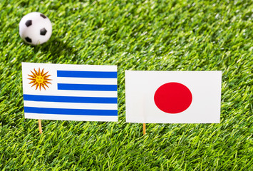 Flag of Uruguay and Japan in the football stadium - Copa América football tournament conmebol Brasil