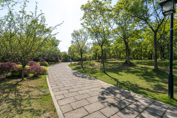 path in the park