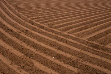 Plowed land for the cultivation of the field