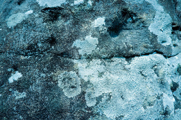 the plain of jars sit1, Phonsavan, province Xieng Khuang in north Lao in southeastasia. - Image