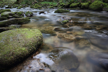 Langzeitbelichtung an einem Bach im Schwarzwald.