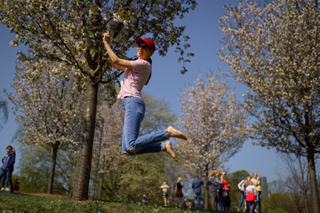 Successful business woman enjoys her leisure free time in a park with blossoming sakura cherry trees wearing jeans, pink t-shirt and a fashion red cap