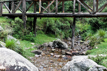 Fototapeta na wymiar wood bridge in the forest