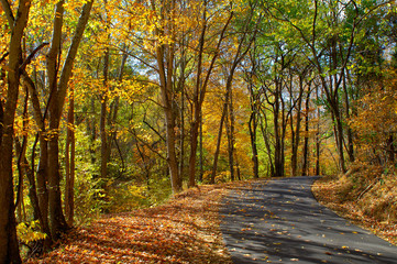 Naklejka na ściany i meble Autumn backroad in Tennessee USA