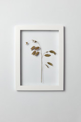 Floral frame with natural organic leaf on a light background.