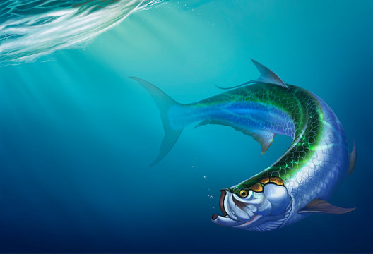 Tarpon big fish on background. The Elopiformes on depth background realistic illustration.