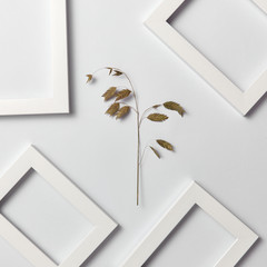 Herbal decorative pattern of leaf branch and empty frames on a light background.