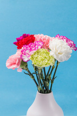 Beautiful carnations in bloom