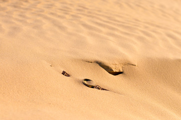 watches are covered with sand