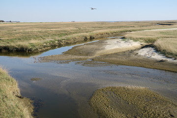 Blick von der Seebrücke in St- Peter Ording Bad auf Priel und Salzwiesen 