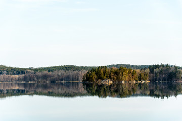 Forest island