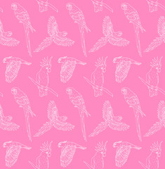 Vector seamless pattern of white line hand drawn parrot flying and sitting isolated on pink background 