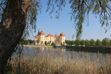 Naklejka na ściany i meble Schloss Moritzburg im Frühling