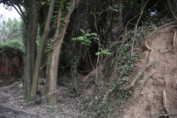 dangerous road