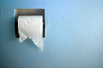 Toilet Paper Roll on Bathroom Wall