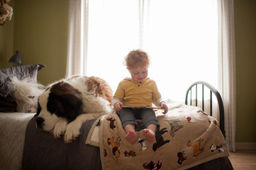 Young boy reading to his large St. Bernard dog on bed