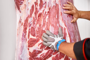 professional butcher in metal glove in factory refrigeration pushes meat with a bull carcass into...