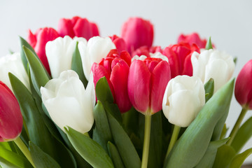 Tulips flowers a bouquet of flowers wooden background