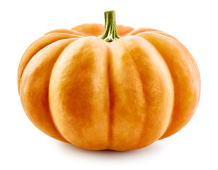 Pumpkin isolated on white