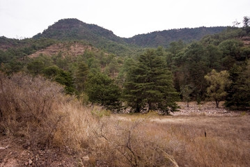 Copper Canyon - Mexico
