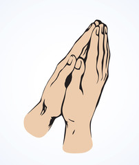 Praying hands. Vector drawing