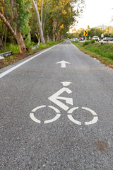 Obraz premium Bicycle road sign and arrow bike lane symbol,bike lane in the garden sightseeing and ride bike in the park. White painted bike on asphalt. Ride ecological green urban transport.