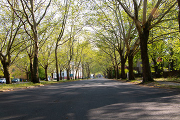 Berlin Reinickendorf Tegel Sommerbeginn