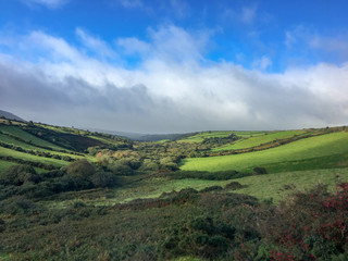 Obraz premium Green Fields of Connemara