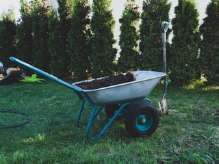 garden cart for planting palnt in the garden with shovel, green tree