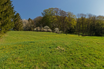 Landschaft bei Eisenach in Thüringen im Frühling