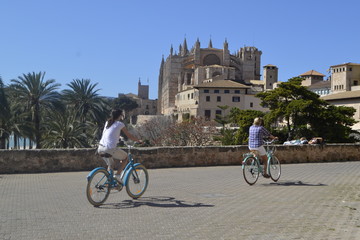 Fototapeta premium Paseo por la catedral