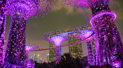 Impressive Supertrees at the Gardens by the Bay, Singapore