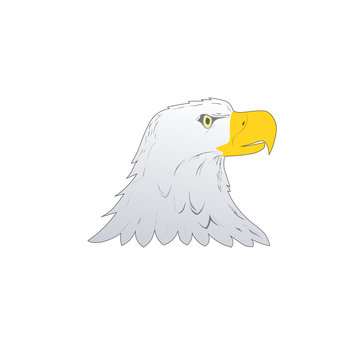 American Bald Eagle or Hawk Head Mascot Graphic, Bird facing side. Vector illustration isolated on white background
