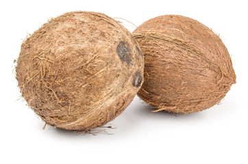 Coconut isolated on a white background