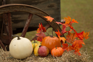 Autumn harvest decorations
